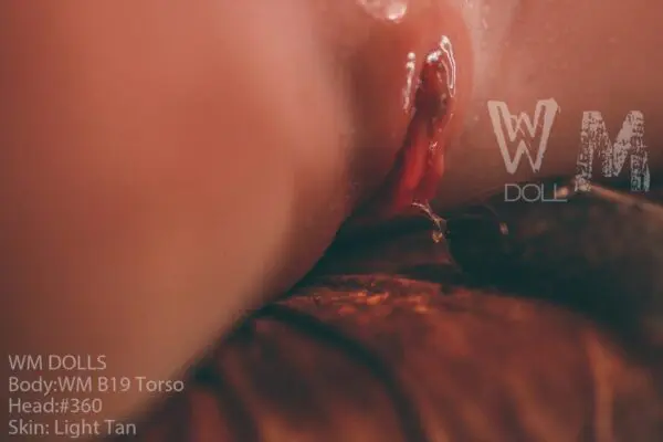 Torso Sex Doll - B19 - Image 18