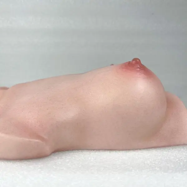 flat chested doll