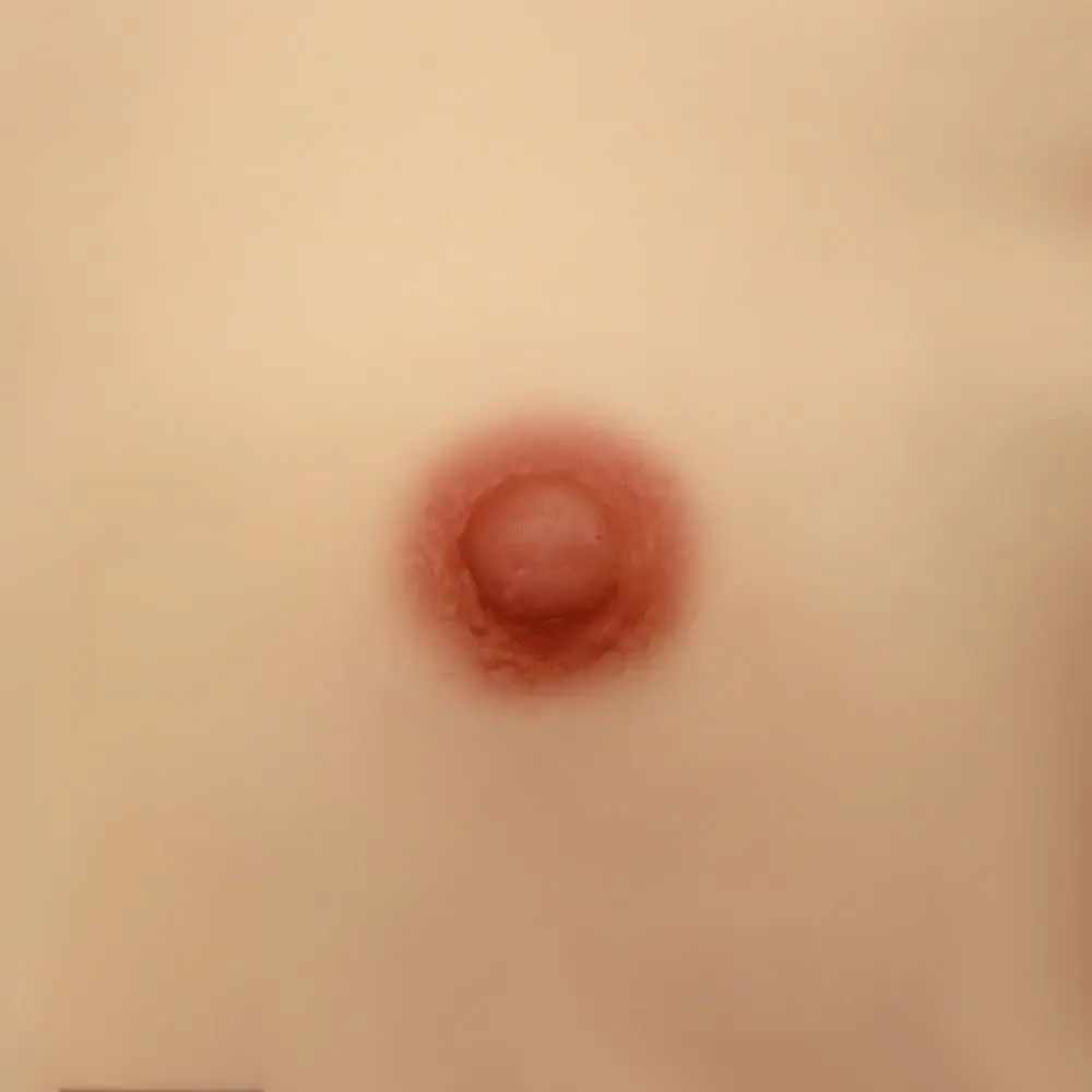 0.8 Inch