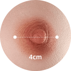 1.6 Inches